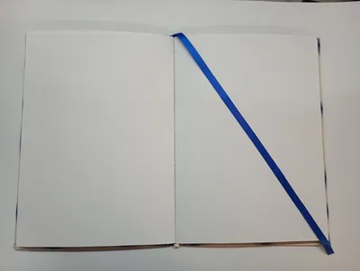 Vista 2