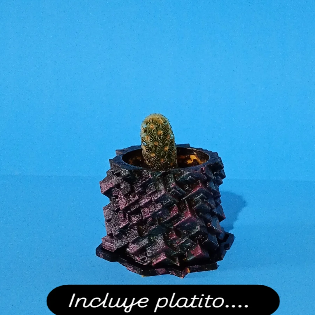 Mini Maceta Bismuto