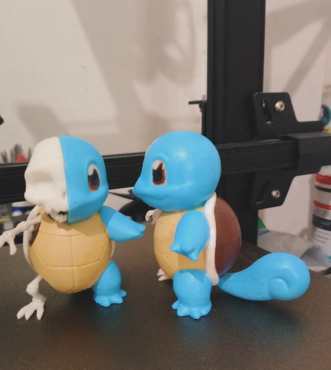 Squirtle Anatomía comparada