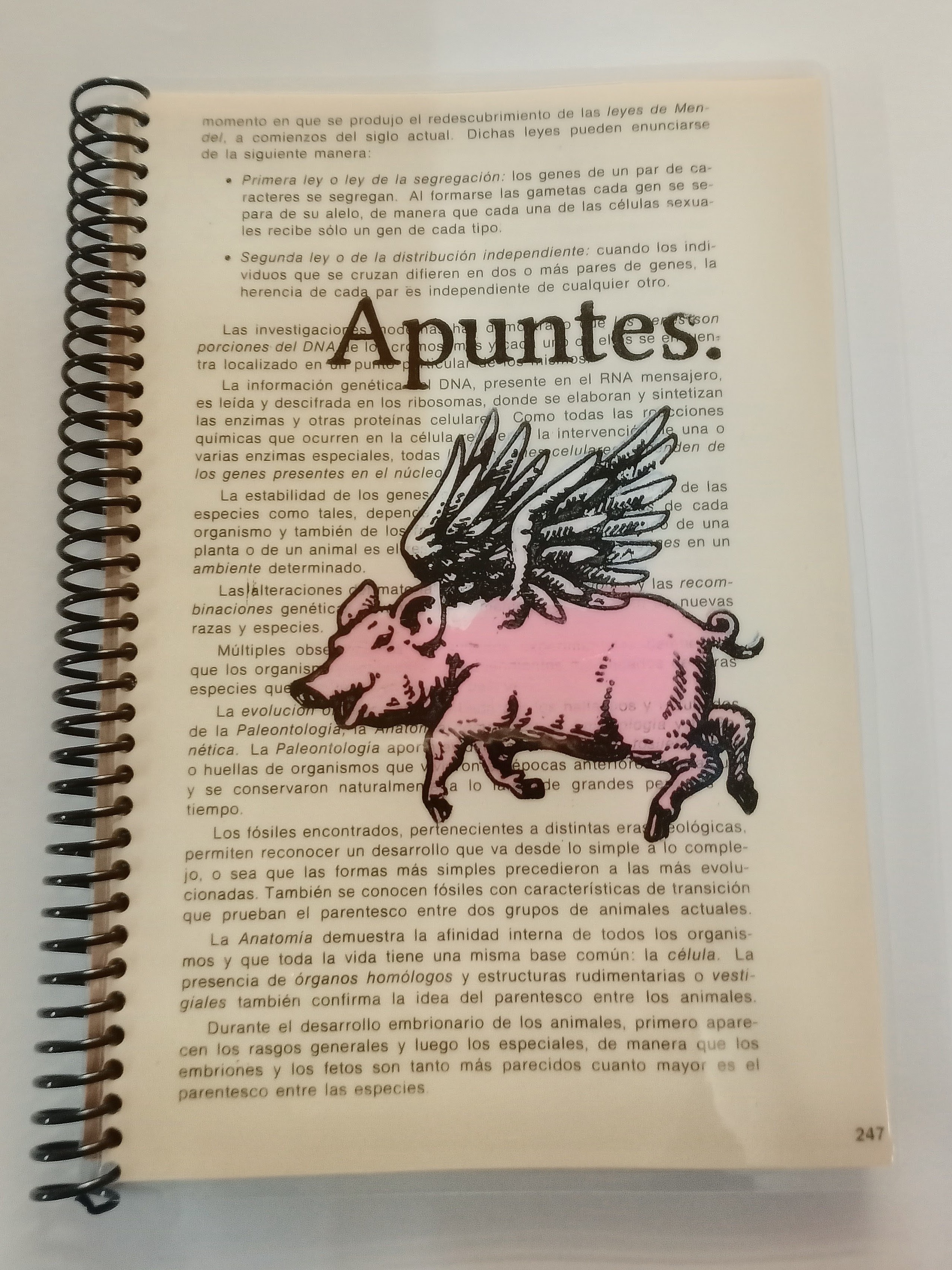 Cuaderno "Apuntes al Vuelo" – Edición Única
